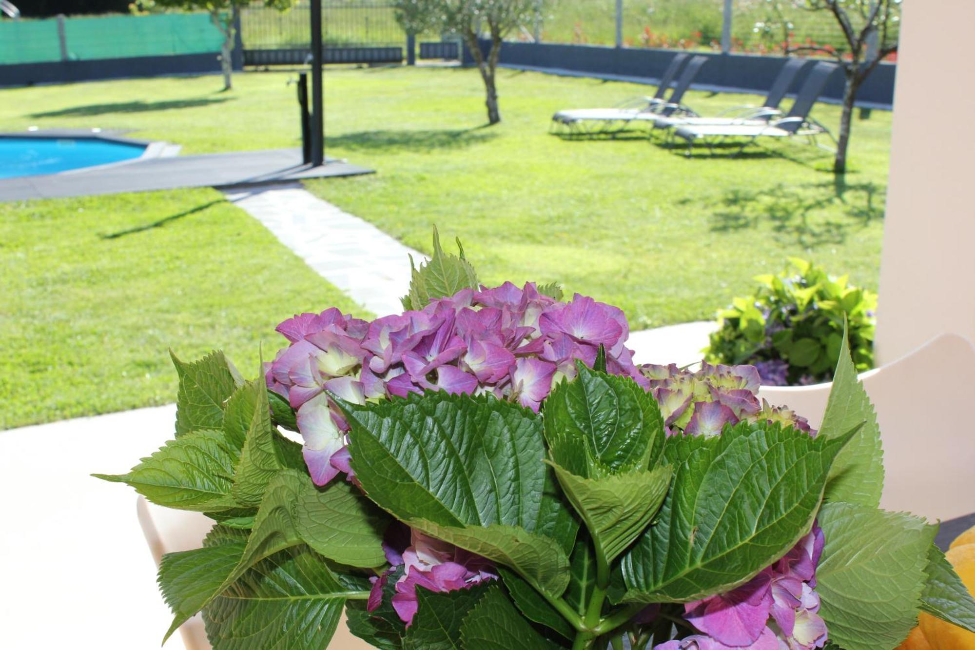 Meis Apartamento En Bloque Vivienda Con Piscina Y Barbacoa A 15 Min De La Playa מראה חיצוני תמונה